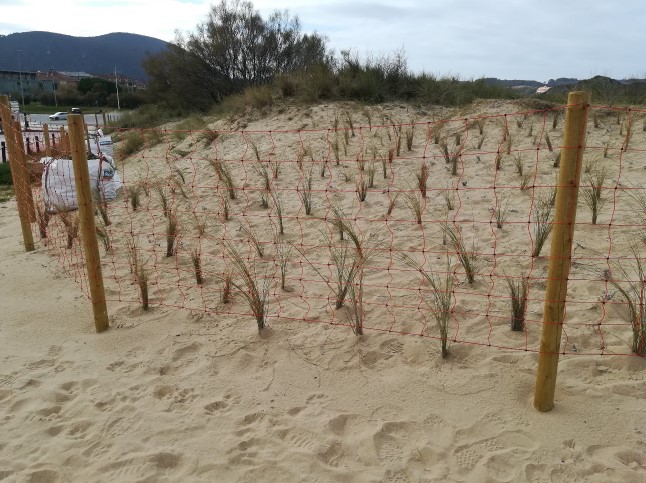 Ejemplo texto Espacio Natural Protegido - Dunas