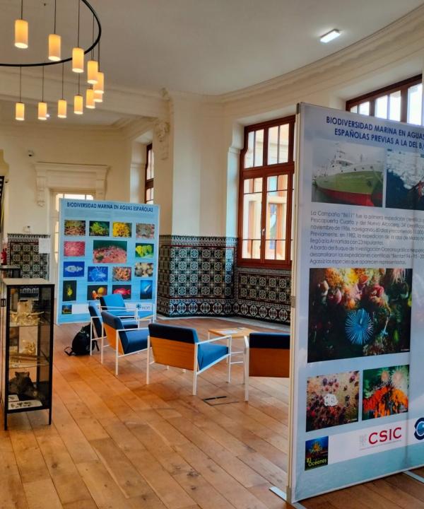 Centro Oceanográfico de Gijón del Instituto Español de Oceanografía (IEO, CSIC)